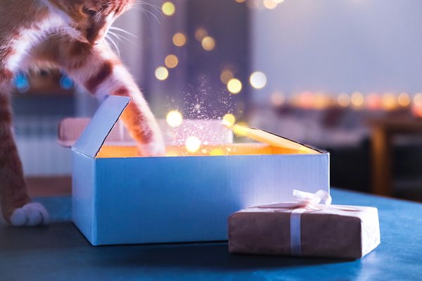 Découvrez pourquoi les mystery box gratuites sont si populaires