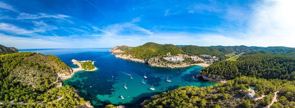 Découvrez comment les partenaires mutuelles sportdical optimisent votre santé